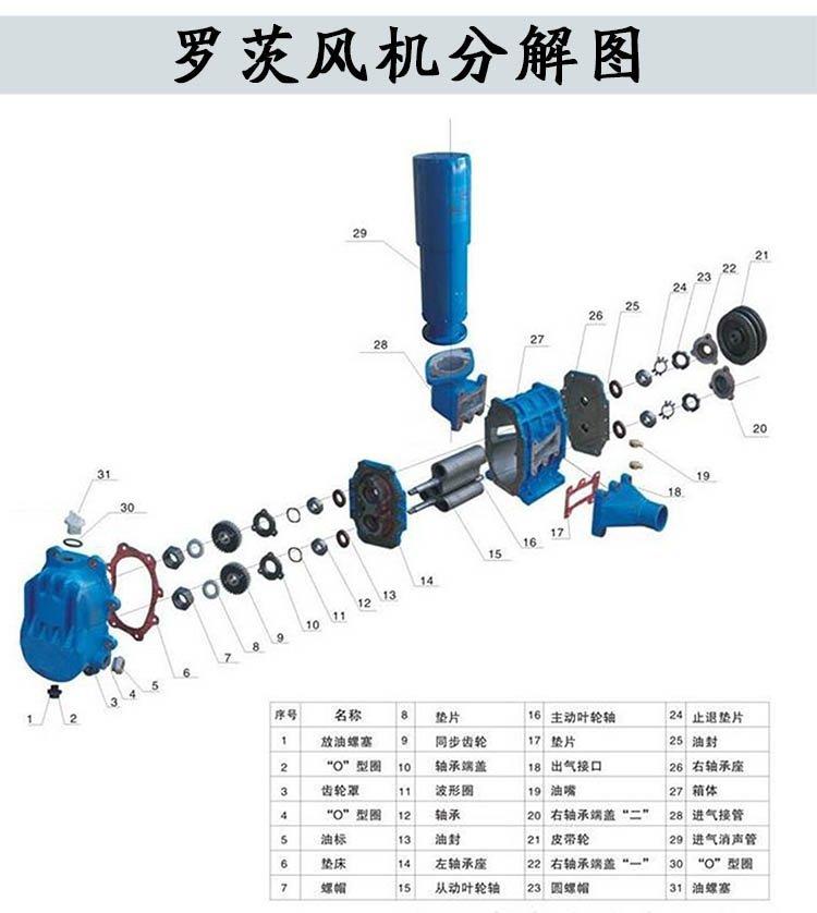 H系列高溫羅茨鼓風(fēng)機(jī)